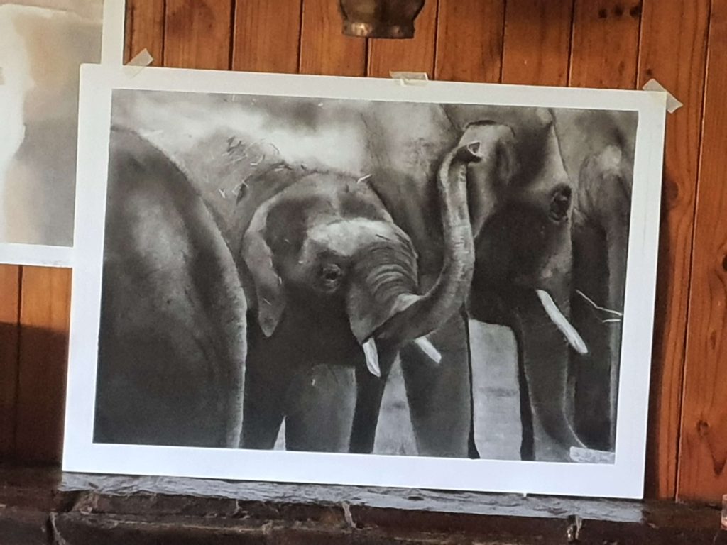 Charcoal drawing of a group of three elephants, shown in profile, taped to a wooden surface.