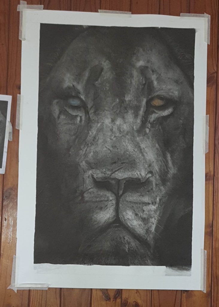 Charcoal drawing of a lion’s face with a striking silver eye, taped to a wooden surface.
