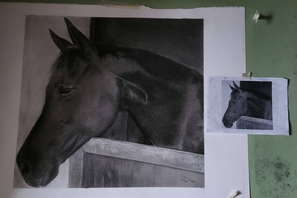 Charcoal drawing of an Arabian horse, displayed pinned to a wall.