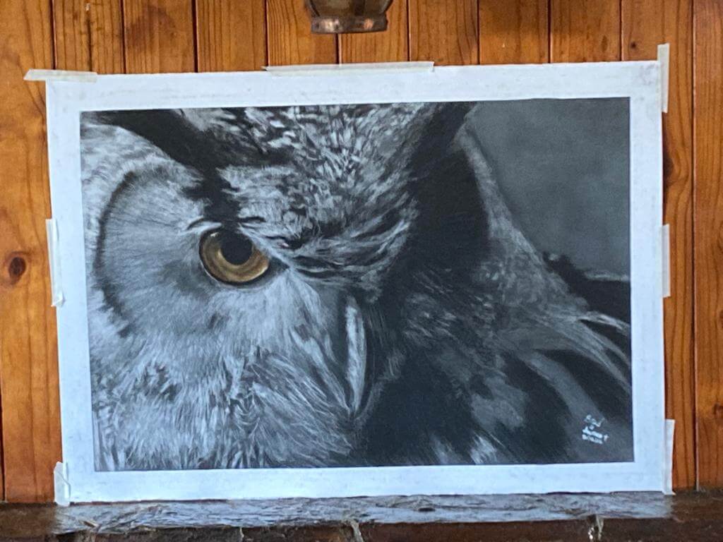 Close-up charcoal drawing of an eagle owl’s face, showcasing detailed feathers and a piercing eye.